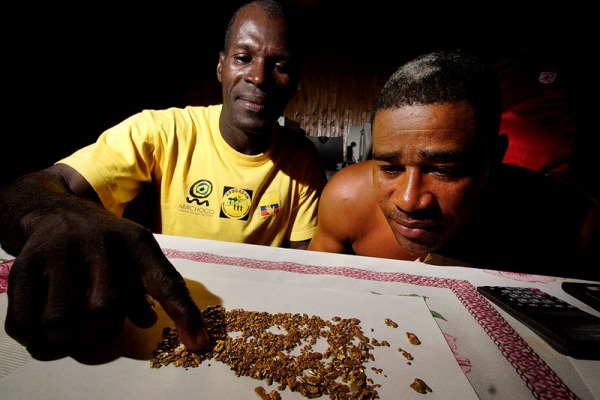 Oro Verde (photo courtesy of Ideame)