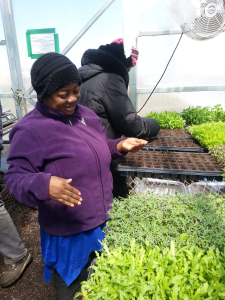 C. in the greenhouse.