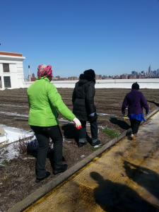 O., K., and C., traipsing across the farm. 