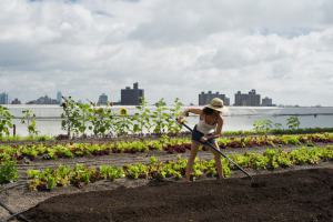 (Photo: Valery Rizzo)