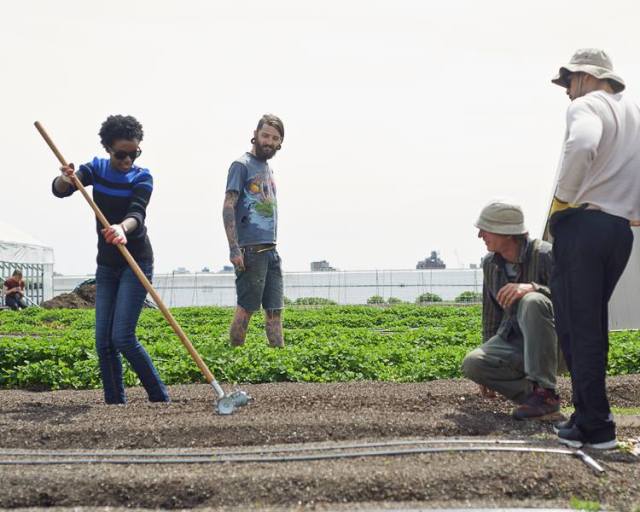 Matt and RIF participants tilling a row for planting.